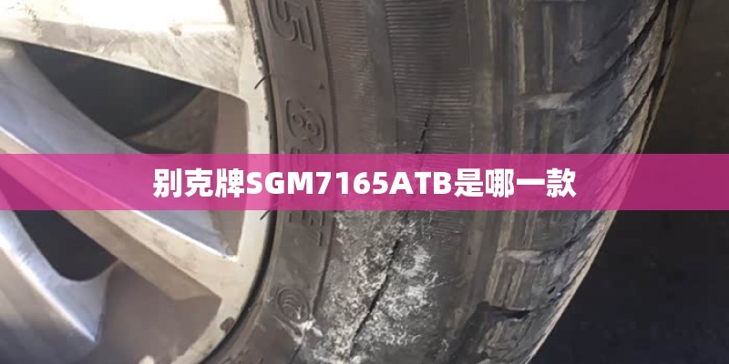 别克牌SGM7165ATB是哪一款