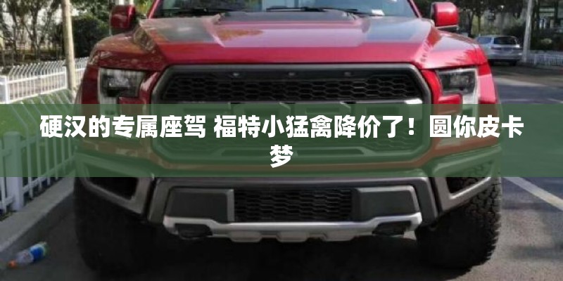硬汉的专属座驾 福特小猛禽降价了！圆你皮卡梦