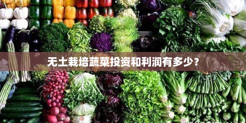 无土栽培蔬菜投资和利润有多少？