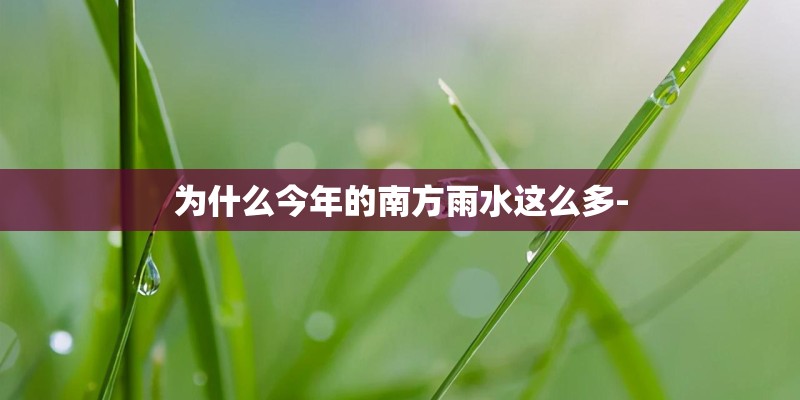为什么今年的南方雨水这么多-
