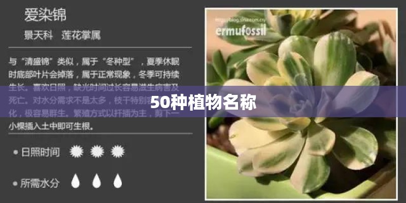 50种植物名称