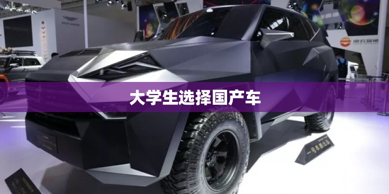 大学生选择国产车