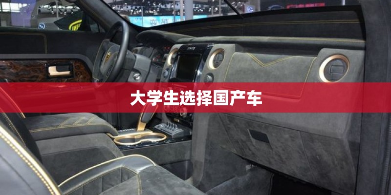 大学生选择国产车