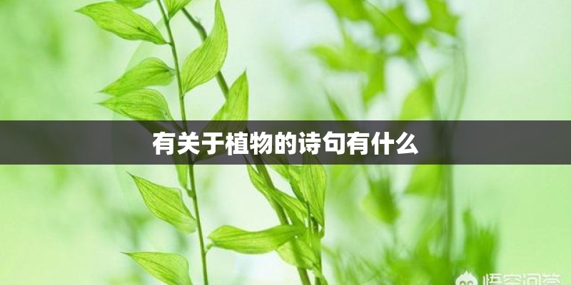 有关于植物的诗句有什么