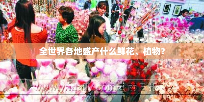 全世界各地盛产什么鲜花、植物？