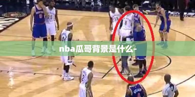 nba瓜哥背景是什么-