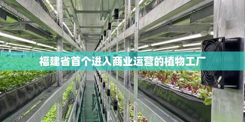 福建省首个进入商业运营的植物工厂