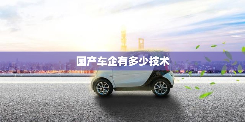 国产车企有多少技术