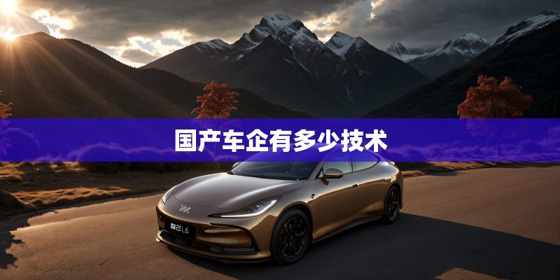 国产车企有多少技术
