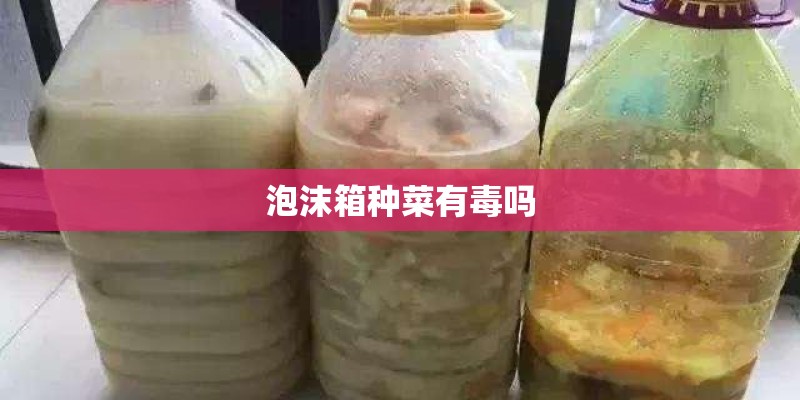 泡沫箱种菜有毒吗