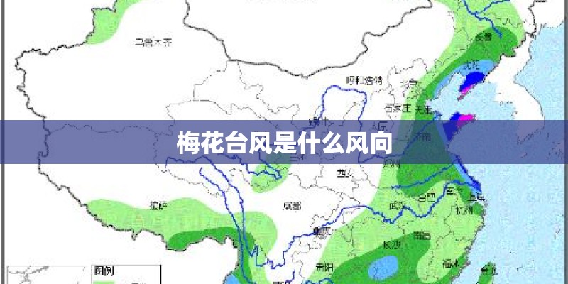 梅花台风是什么风向