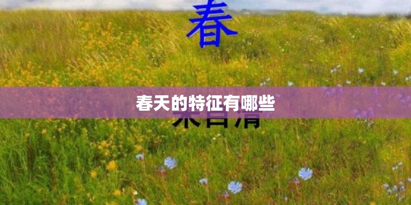 春天的特征有哪些