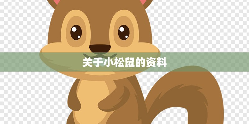 关于小松鼠的资料