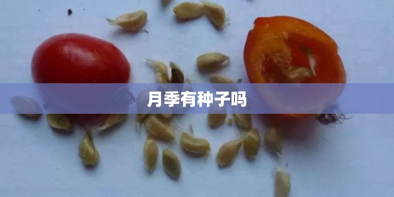 从挑战者到引领者 华为P20 Pro产品评测