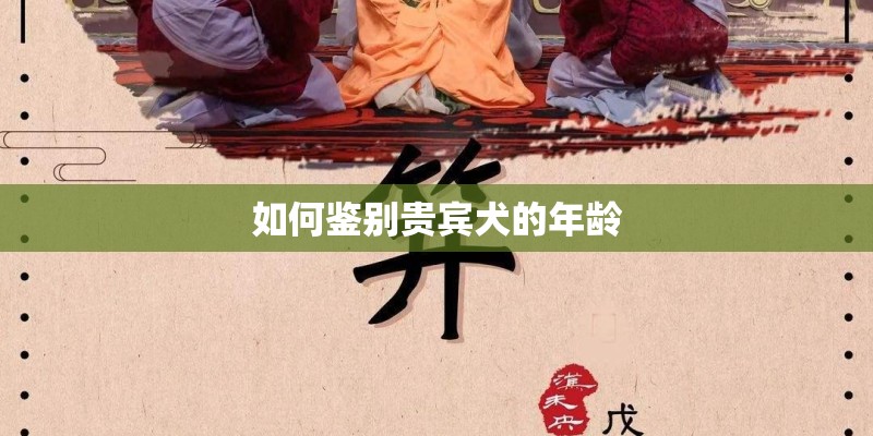 如何鉴别贵宾犬的年龄