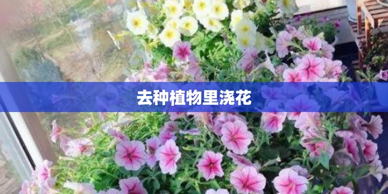 去种植物里浇花