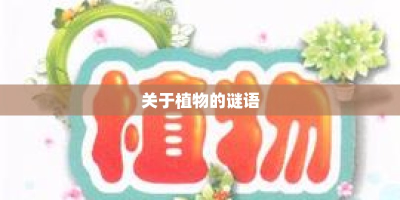 关于植物的谜语