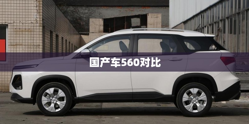 国产车560对比