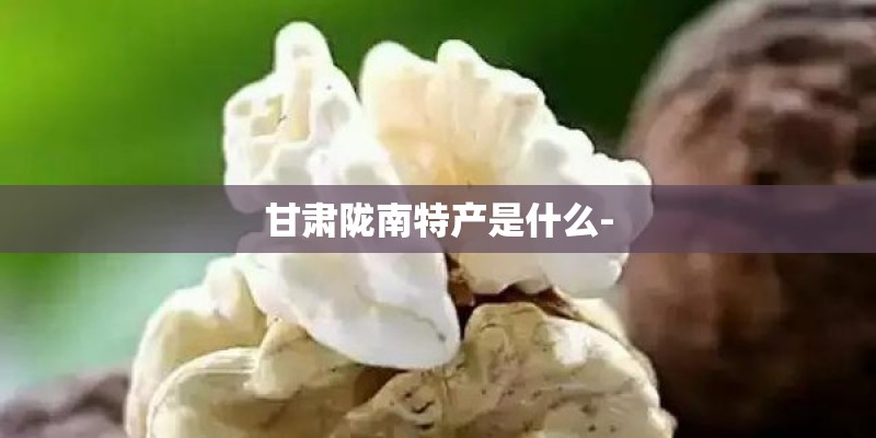 甘肃陇南特产是什么-