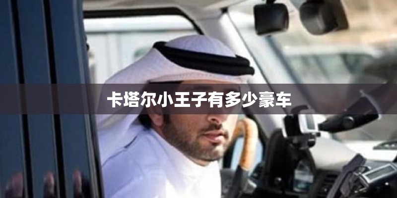 卡塔尔小王子有多少豪车