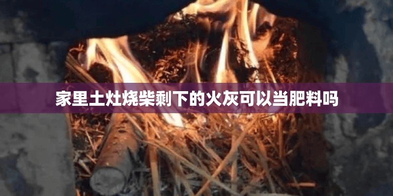 家里土灶烧柴剩下的火灰可以当肥料吗