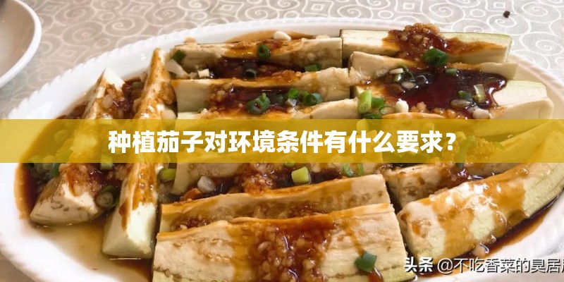 种植茄子对环境条件有什么要求？