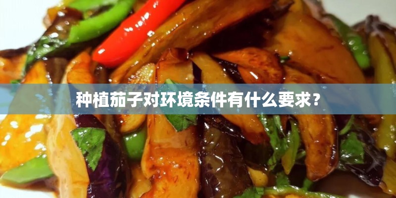 种植茄子对环境条件有什么要求？