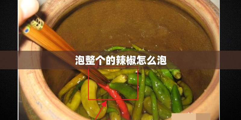 泡整个的辣椒怎么泡