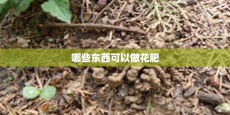 哪些东西可以做花肥