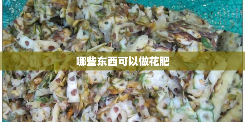 哪些东西可以做花肥