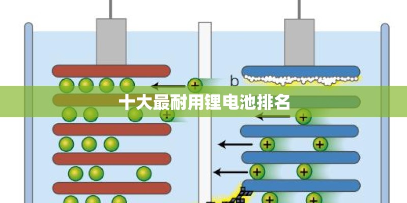 十大最耐用锂电池排名