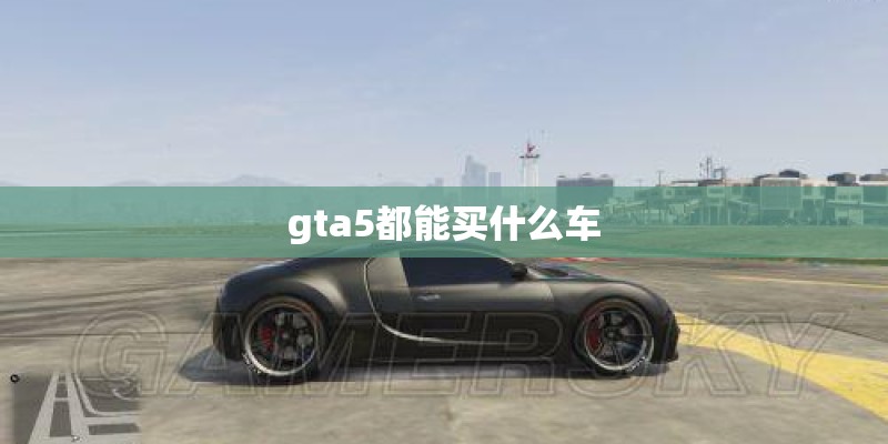 gta5都能买什么车