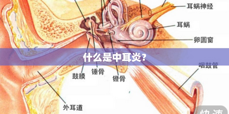 什么是中耳炎？