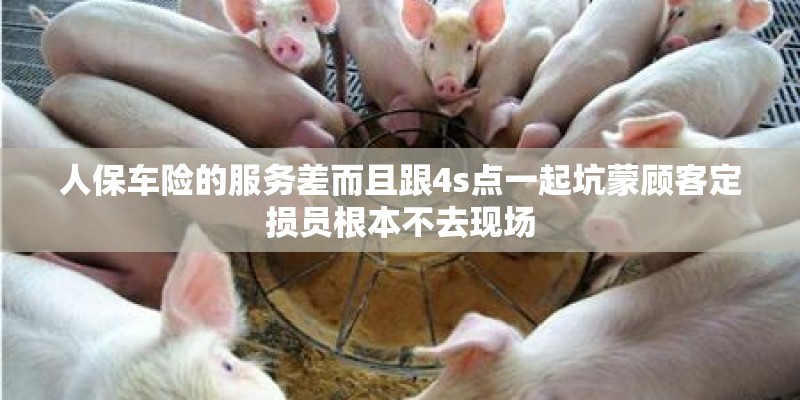 人保车险的服务差而且跟4s点一起坑蒙顾客定损员根本不去现场