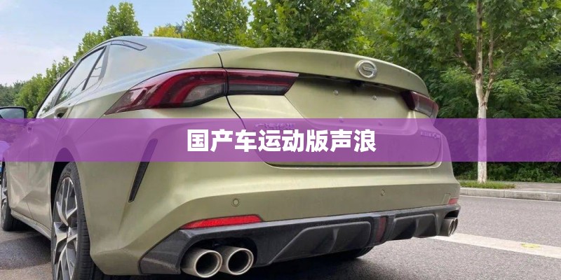 国产车运动版声浪