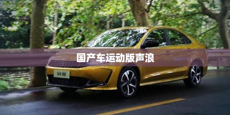 国产车运动版声浪
