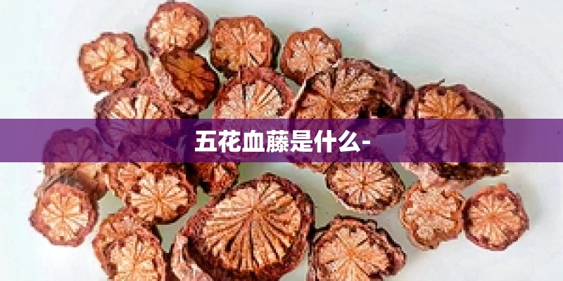 五花血藤是什么-
