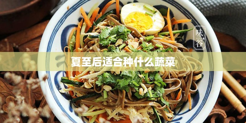 夏至后适合种什么蔬菜