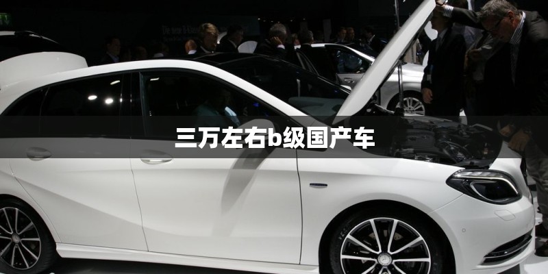 三万左右b级国产车