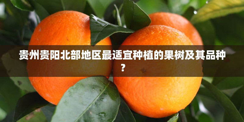 贵州贵阳北部地区最适宜种植的果树及其品种？