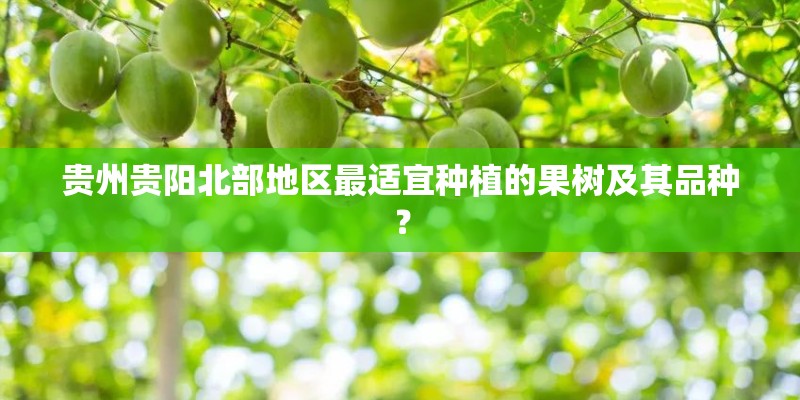 贵州贵阳北部地区最适宜种植的果树及其品种？