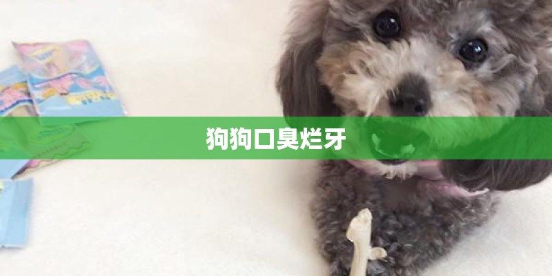狗狗口臭烂牙