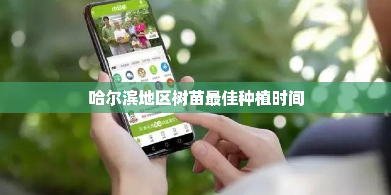 哈尔滨地区树苗最佳种植时间