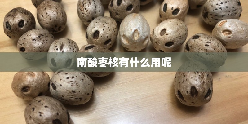 南酸枣核有什么用呢