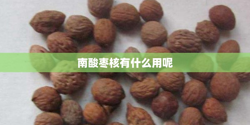 南酸枣核有什么用呢