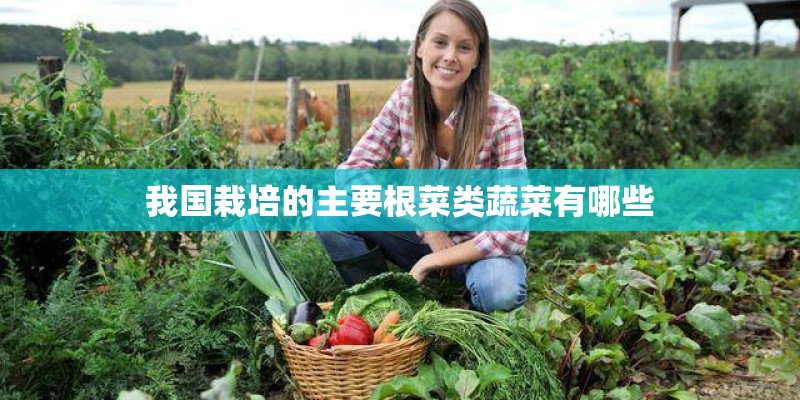 我国栽培的主要根菜类蔬菜有哪些
