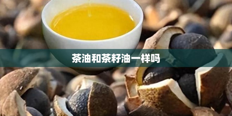 茶油和茶籽油一样吗