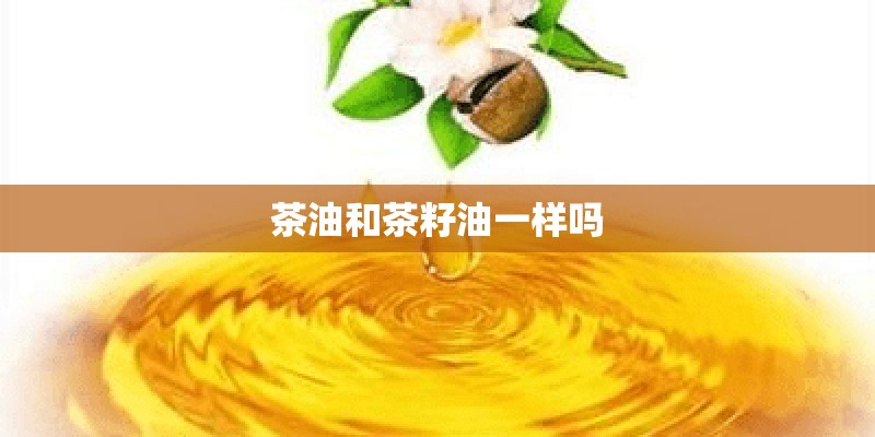茶油和茶籽油一样吗