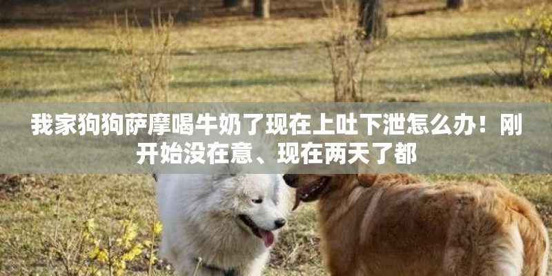 【花草】这种是什么水草？
