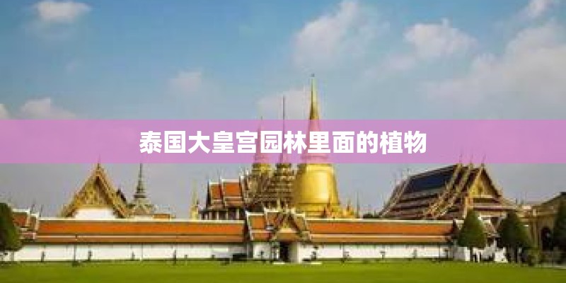 泰国大皇宫园林里面的植物